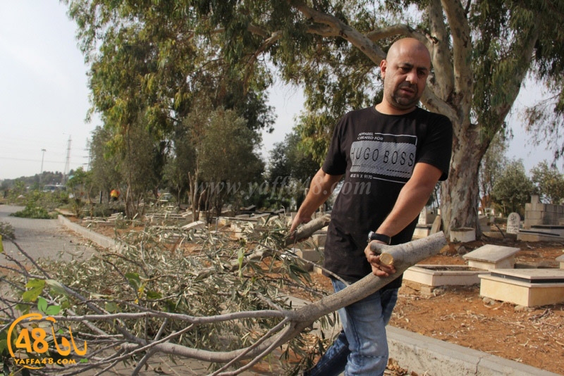 tasoooi3i1412 (33).JPG